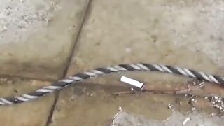 EXPLOSIVE LEAK Japanese Cuties Caught Peeing in Public  You Wont Believe What Happens Next!