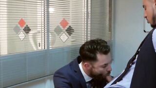 BOARDROOM BRAWLERSatical Affairs in the Office of Power