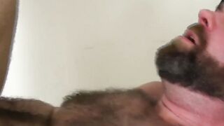 BEARLY INSANE 3 Feral Ursines Breeding on a Sex Swing in a MAD FOURSOME