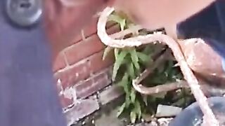 BLINDSIDED BY BOMAYEE Brunette Bombshell Gets DOWN AND DIRTY WITH A HUNGRY INDIAN HORSE!