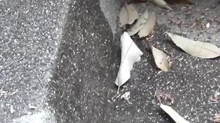BARE IT ALL Japanese Cutie Streams Scorching Urine Down Pave Outside  You Wont Believe What Happens Next!