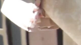 EXPOSED Japans Hidden Sin  Secret POV Peeing Compendium