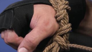 CALLUM COLBEYS PUP PLAY P.Arty  Watch Him Tame His Pup Badge!