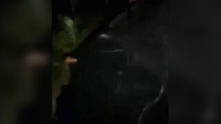 "Exotic Beauties - Indian Girl Fucked Hard Outside Amidst Nature"