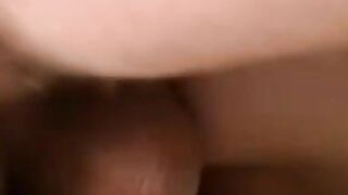 Bushy Bear's Ass-Fucking Adventure #2 (Anal Breed)