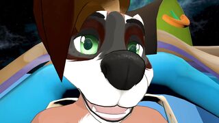 Furry Sex - Nuts and Cars