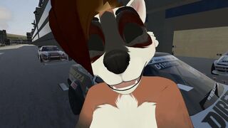 Furry Sex - Nuts and Cars