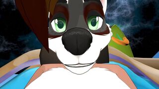 Furry Sex - Nuts and Cars