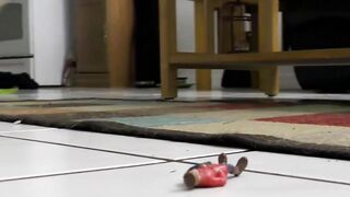 "Tiny People Crushed Under Giant Feet of Porn Star Elias Atlantix"