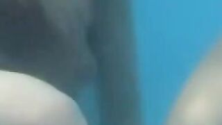 Girls Just Wanna Have Fun- Lesbian Party Girl Orgy With Hot College Babes
