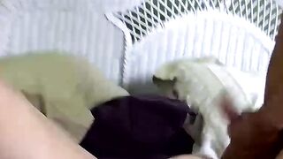 Surprise Morning Blow Job - PornPros