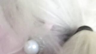 Dirty debutante Amor Hilton anal fucked for the first time