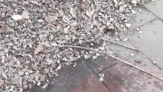 JAPANESE TEEN CAUGHT IN A DIRTY PEESCAPE - WILL BE & COCKY" or "Asia's Cutest Teen Gets Exposed In The Woods