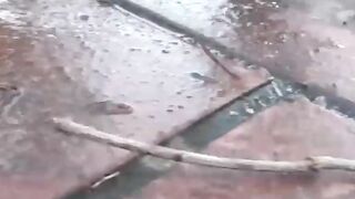JAPANESE TEEN CAUGHT IN A DIRTY PEESCAPE - WILL BE & COCKY" or "Asia's Cutest Teen Gets Exposed In The Woods