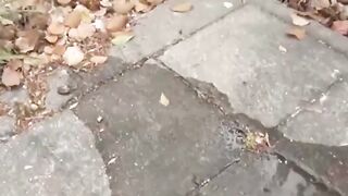 JAPANESE TEEN CAUGHT IN A DIRTY PEESCAPE - WILL BE & COCKY" or "Asia's Cutest Teen Gets Exposed In The Woods