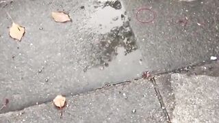 JAPANESE TEEN CAUGHT IN A DIRTY PEESCAPE - WILL BE & COCKY" or "Asia's Cutest Teen Gets Exposed In The Woods