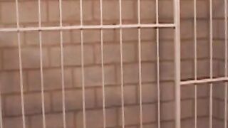 David is becoming accustomed to prison life by sucking cock