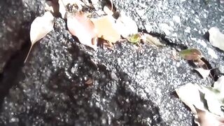 Japanese ladies secretly taped as they are pissing