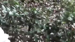 Japanese ladies secretly taped as they are pissing