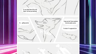 moon nights with judy and nick