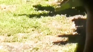 Bears Bo Bangor and Dalton Hawg breed in orgy with Pablo Paris
