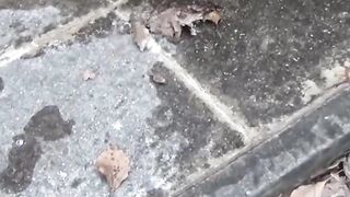 Public Peeping - Bold Teenage Girls Get Famous In Public
