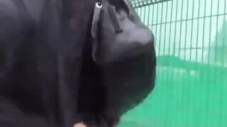 Public Peeping - Bold Teenage Girls Get Famous In Public