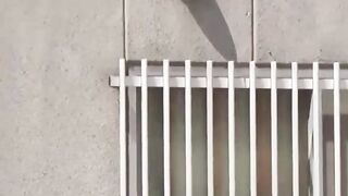 Japanese Babe Faces Peeing Challenge in Public