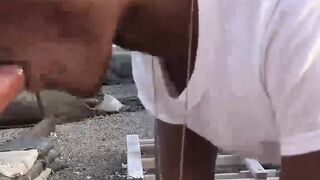Group Sex Outdoor Orgy - Army Hunks Fuck Hard In Public