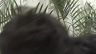 Two Hunks Engage In Intense Anal Sex Experience