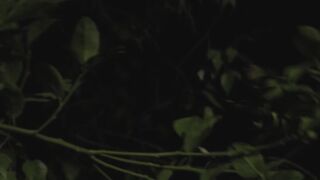 Bound Submissive Girl's Ass Destroyed By Dominant Stud In Hardcore Anal Sex
