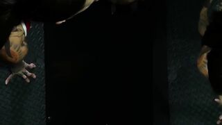 Busty Slurp-Sluts #3 - Big Boobied Beauties Swallowing Huge Black Loads