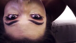 Brooklyn Grey's Rim Job - Point Of View" or "Rough And Raw Pov Blowjob With Brooklyne Graye