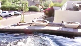 Blonde Twunk's Poolside Masturbation Adventure