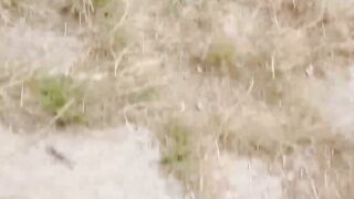 Evelyn Neill's Big Dick Pleasure - Huge Load On Her Face And Body
