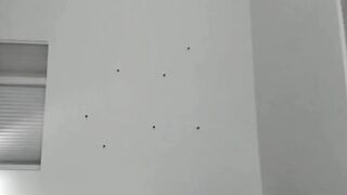 Bubble Butt Trans Girl Riding Big Black Dick in Hardcore Anal Sex