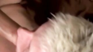 Blondie's Blowjob Ride - Raw Anal Sex with Big Dick Jocks