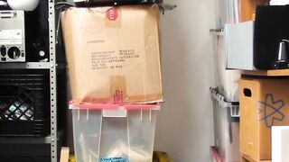 Ebony Thieves - Black Girl Steals Big Dick From Store Guard