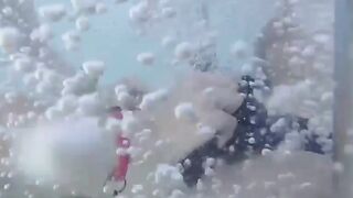 Robert Avsec Fucks Moi Saverio In Public Pool - POV Creampie