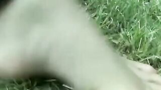 Bondaged Babe Outdoors Gets Fucked By Sex Machine In Public - Erotic Encounters