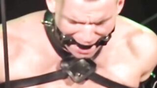 Hairiest Man Alive - Muscular Bear Fucked Hard in Rough BDSM Scene