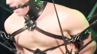 Hairiest Man Alive - Muscular Bear Fucked Hard in Rough BDSM Scene