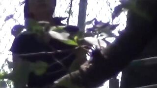 Japanese Biker Scene - Peeing Girlfriend Fetish Encounters