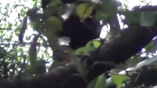 Japanese Biker Scene - Peeing Girlfriend Fetish Encounters