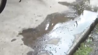 Peeing Freaks #3 - Hot Asian Bombshell Pisses on Strangers