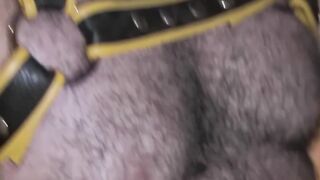 Bear Breeders - Raw Bear Fuck Fest Featuring Older Men