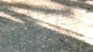 Peeing-JapaneseBabes - Shameless Teen Pissing in Public