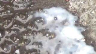 Peeing-JapaneseBabes - Shameless Teen Pissing in Public