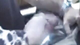 Sexy MILF Teaches Young Guy How To Please A Woman - Older Women & YOung Men Fusion!