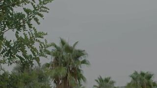 Los Angeles Whores - Sexy Blonde Babe Gets Fucked Hard By A Hunk